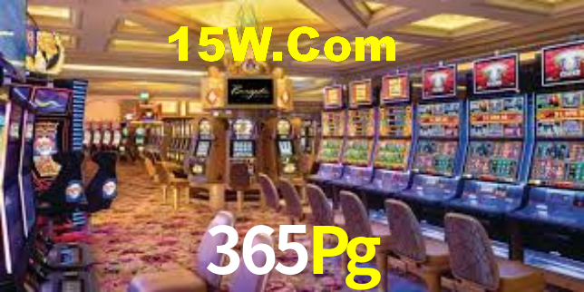 Premium Interface 365Pg